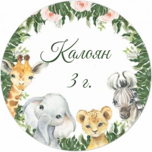 Принт Детски рожден ден 28 персонализиран